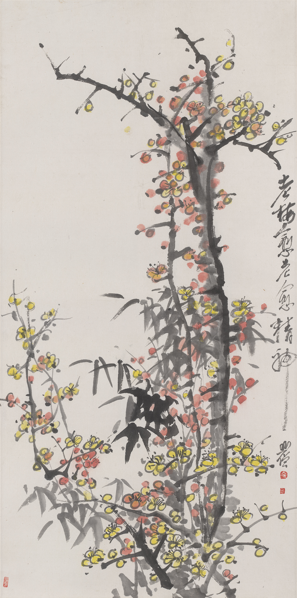 12 梅                69#34