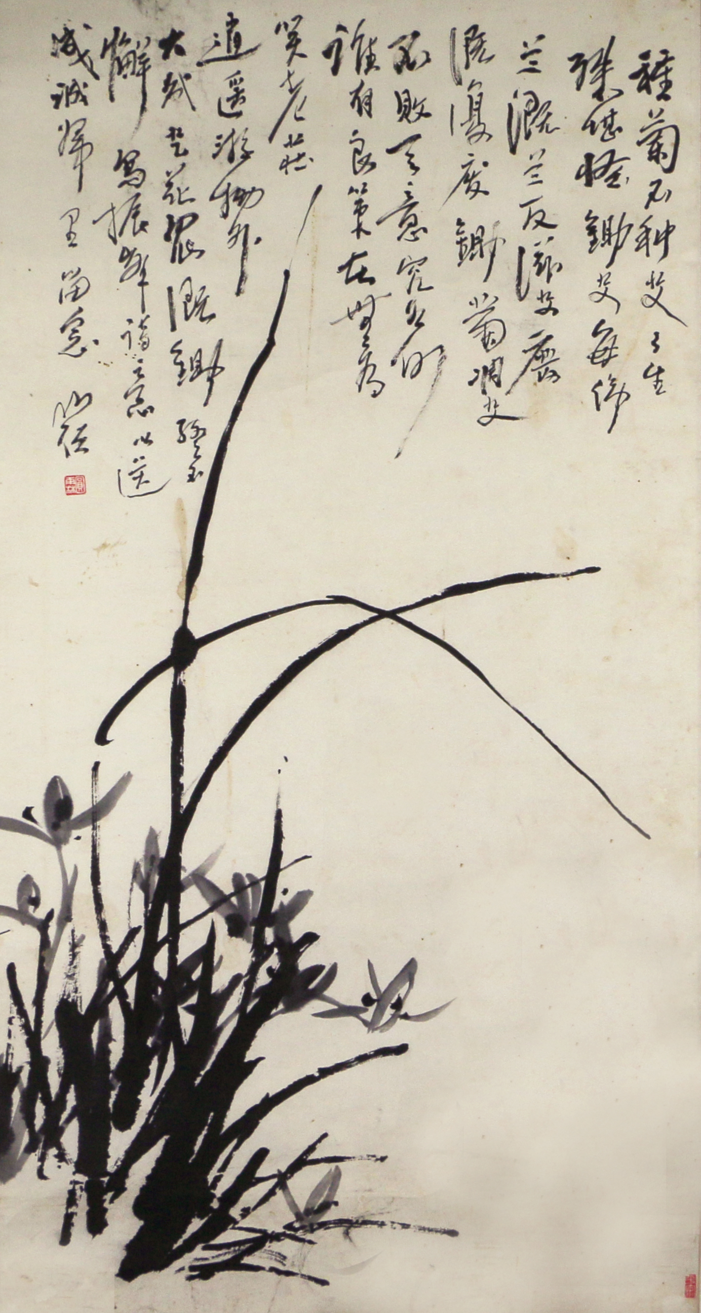 26 花草        65#34