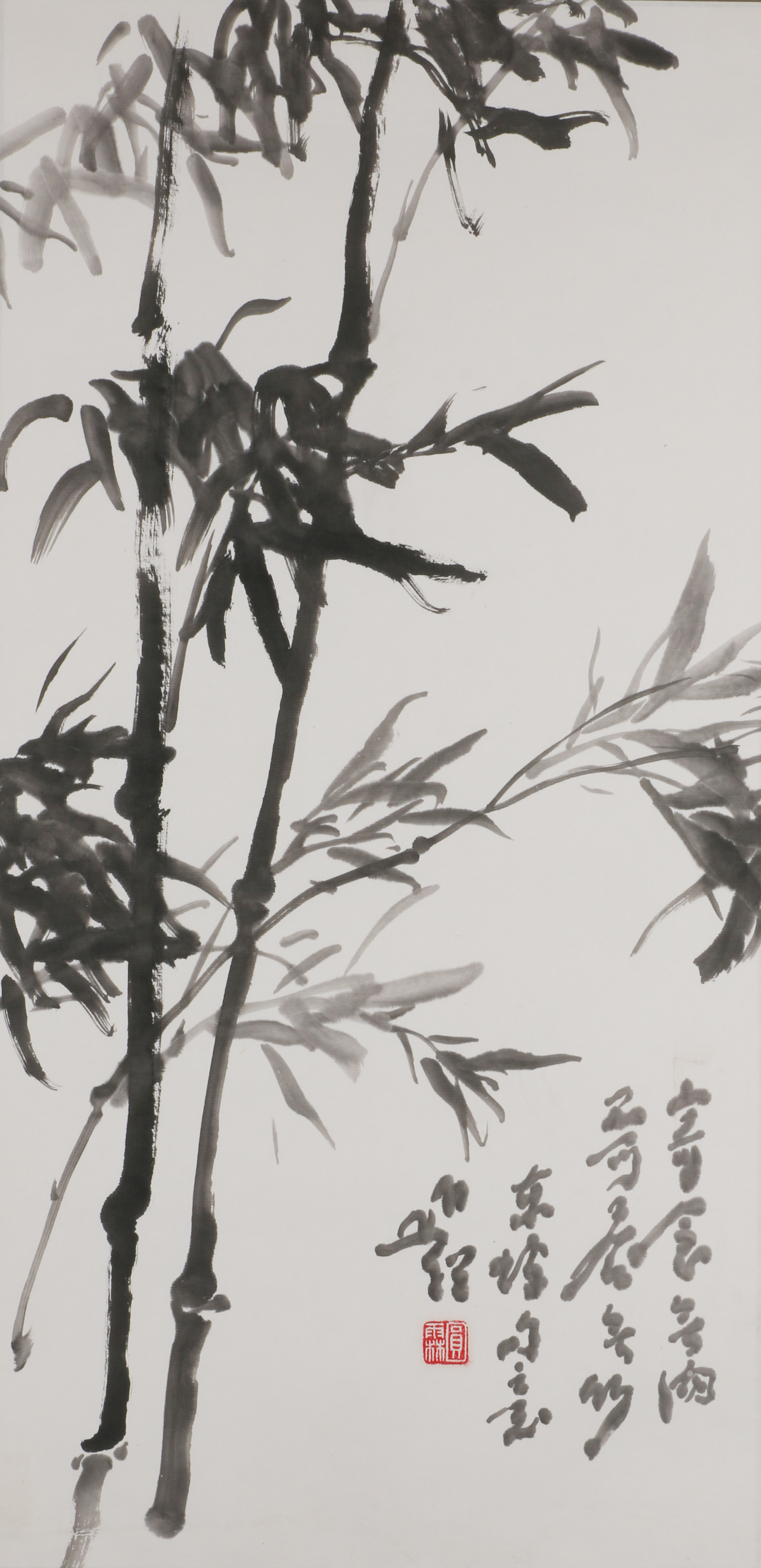 17 宁可竹子       69#34