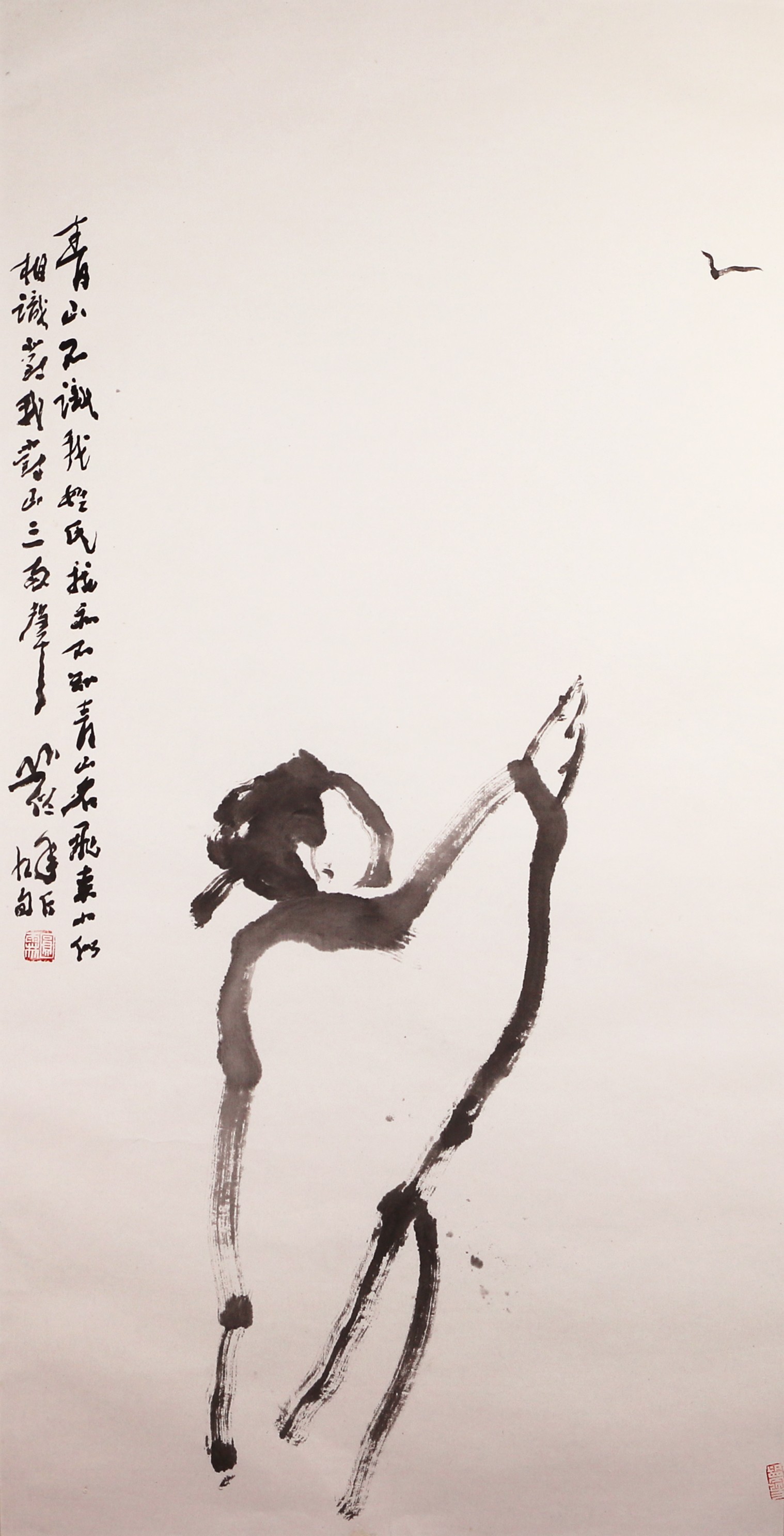 17 青山不识        50#96.5              ？